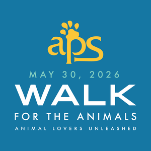 Team Page: APS is Awesome!